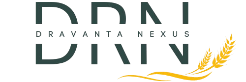 Dravanta Nexus Logo